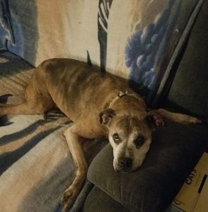 Meet your Posher, Jackie